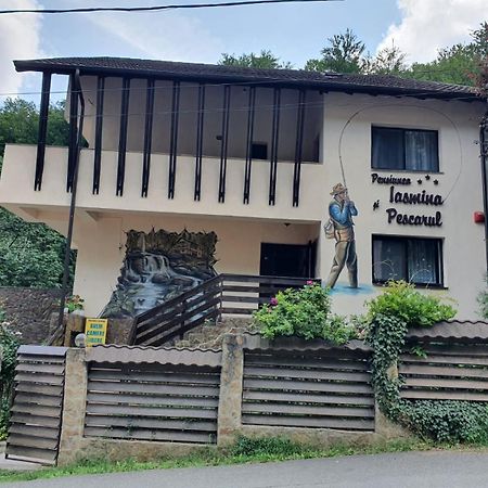 Pensiunea Iasmina Si Pescarul Călimăneşti Eksteriør bilde