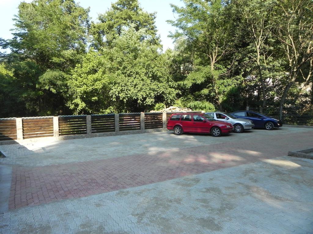 Pensiunea Iasmina Si Pescarul Călimăneşti Eksteriør bilde